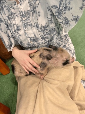 ゆい