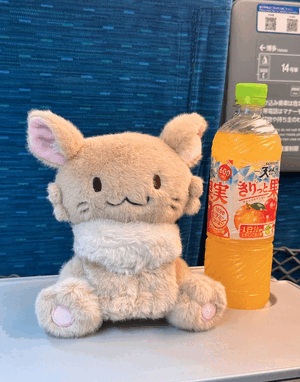 ゆい