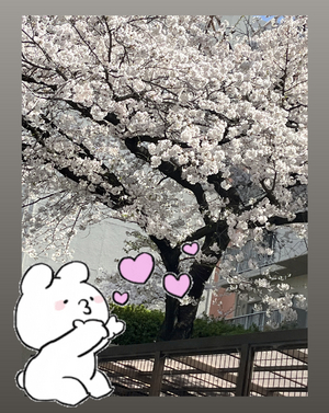 ふうか