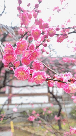 えいみ